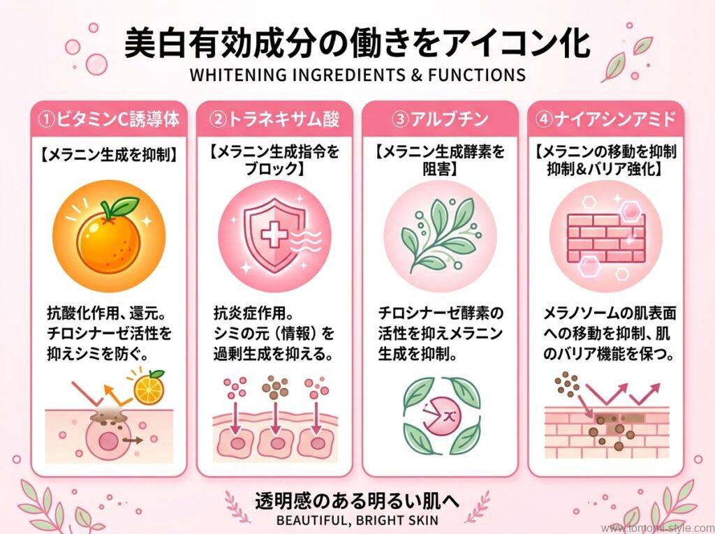 美白有効成分4種の働きと選び方をまとめたチャート図