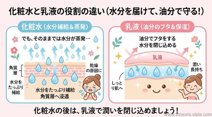 化粧水で与えた水分を乳液のベールが守る仕組みを解説するイラスト